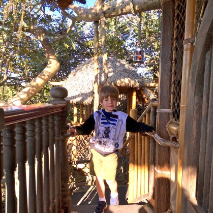 We had the tree house to ourselves